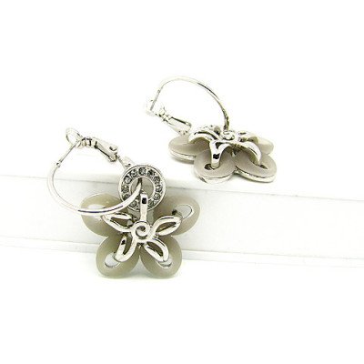 Crystal Earrings SE032343