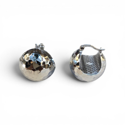 Elegant silver earrings | GTFE4779