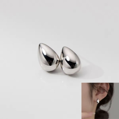 Women's Silver Clear Earrings | SE230421
