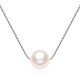 SN5003 SN5003 Pearls