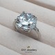 Дамски сребърен пръстен | SE2837