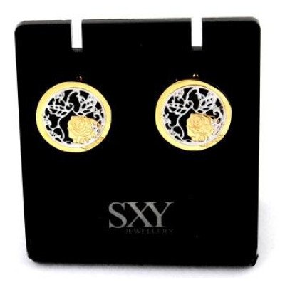 Earings SE4274